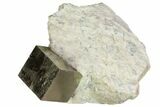 Natural Pyrite Cube In Rock From Spain #82101-1